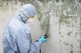 Best Mold Remediation for Rental Properties  in USA